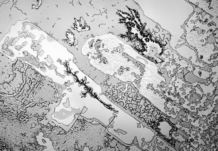 Τα δάκρυα στο μικροσκόπιο: Δεν φαντάζεστε πώς είναι το υγρό που τρέχει από τα μάτια μας - Φωτογραφία 4