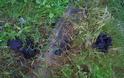 Αιτωλοακαρνανία: Κομμάτι από τον μετεωρίτη έπεσε στα Καλύβια; Τι λένε οι αυτόπτες μάρτυρες - Φωτογραφία 1