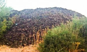 Ξηρόμερο: Φόβοι από τους 400 τόνους ελαστικών σε χωράφι - Φωτογραφία 1