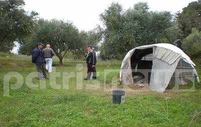 Hλεία: Αδέσποτα κατασπάραξαν οικόσιτα στο Αλποχώρι! - Φωτογραφία 2