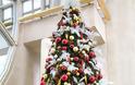 Μοναδικές ιδέες διακόσμησης για το Χριστουγεννιάτικο δέντρο σας! - Φωτογραφία 11