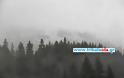 Τα πρώτα χιόνια στα Περτουλιώτικα λιβάδια και στο χιονοδρομικό κέντρο [Video - Photos] - Φωτογραφία 3