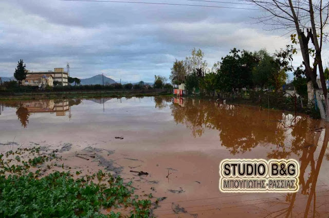 Φωτογραφίες από το Άργος, που σοκάρουν - Φωτογραφία 12