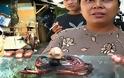 ΣΟΚ: Βρέθηκε στη Μαλαισία χταπόδι με κεφάλι ανθρώπου! [video]
