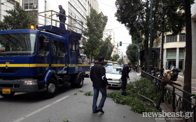 Έπεσε δέντρο στη Σταδίου - Δείτε φωτογραφίες - Φωτογραφία 4