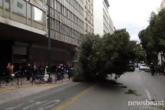 Έπεσε δέντρο στη Σταδίου - Δείτε φωτογραφίες
