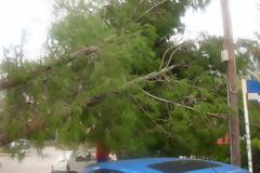 Επί ποδός βρίσκονται τα εξωτερικά συνεργεία του Δήμου Αμαρουσίου για τη διαχείριση των επιπτώσεων της κακοκαιρίας