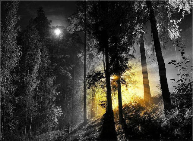 Ήρθε η ώρα το μυαλό και το κορμί να χαλαρώσουν.... - Φωτογραφία 2