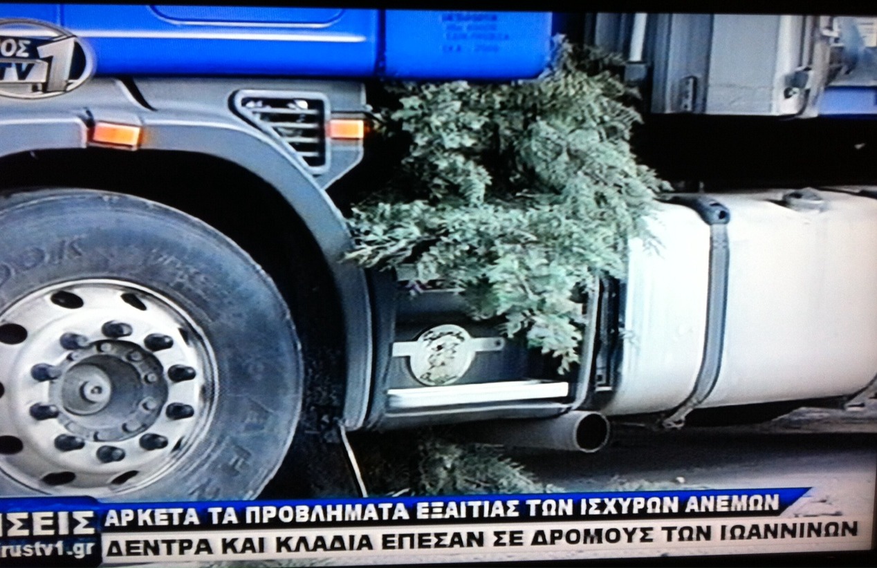 Γιάννενα: Δέντρο έπεσε πάνω σε φορτηγό - Φωτογραφία 3