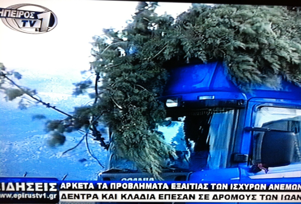 Γιάννενα: Δέντρο έπεσε πάνω σε φορτηγό - Φωτογραφία 4