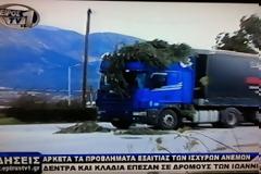 Γιάννενα: Δέντρο έπεσε πάνω σε φορτηγό