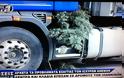 Γιάννενα: Δέντρο έπεσε πάνω σε φορτηγό - Φωτογραφία 3