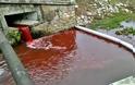 Ποτάμι κατακόκκινο γεμάτο αίμα - Φωτογραφία 1