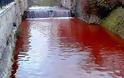 Ποτάμι κατακόκκινο γεμάτο αίμα - Φωτογραφία 2