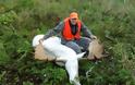 Κυνηγοί σκότωσαν σπάνια λευκή άλκη απλά και μόνο ως τρόπαιο - Φωτογραφία 3