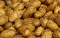 Αχαΐα: Αλλοδαποί είχαν ρημάξει τους παραγωγούς πατάτας
