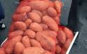 Ρουμάνοι ρήμαζαν τις πατάτες στον Άραξο... έκλεψαν 4 τόνους!