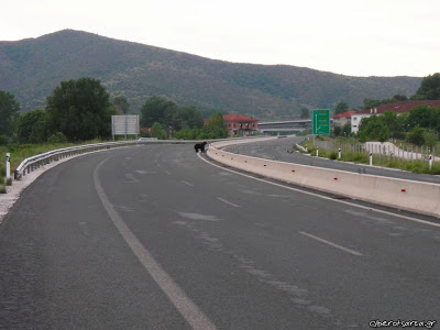 KAΣΤΟΡΙΑ - Δείτε ...Αρκούδα βολτάρει στην Εγνατία - Φωτογραφία 2