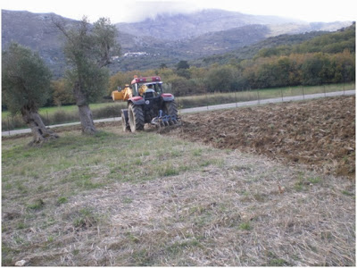 Επαναστατούν και αναβιώνουν την καλλιέργεια Ζέας - Φωτογραφία 2