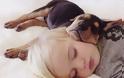 Η ιστορία αγάπης και... ύπνου μέρος 2ο -Το μωρό και ο σκύλος που «έλιωσαν» το Ιντερνετ σε νέες περιπέτειες [εικόνες]