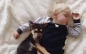Η ιστορία αγάπης και... ύπνου μέρος 2ο -Το μωρό και ο σκύλος που «έλιωσαν» το Ιντερνετ σε νέες περιπέτειες [εικόνες] - Φωτογραφία 16