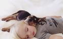 Η ιστορία αγάπης και... ύπνου μέρος 2ο -Το μωρό και ο σκύλος που «έλιωσαν» το Ιντερνετ σε νέες περιπέτειες [εικόνες] - Φωτογραφία 18