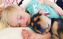 Η ιστορία αγάπης και... ύπνου μέρος 2ο -Το μωρό και ο σκύλος που «έλιωσαν» το Ιντερνετ σε νέες περιπέτειες [εικόνες] - Φωτογραφία 5