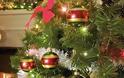 «Ανάβουμε το Χριστουγεννιάτικο Δέντρο στο Άργος»