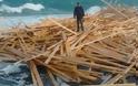 «Ξινά» τα ξύλα που ξέβρασε η θάλασσα στη Λέσβο - Έκανε ντου η εφορία!