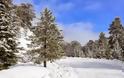 Κύπρος: Εφτά χωριά παραμένουν αποκλεισμένα λόγω της χιονόπτωσης