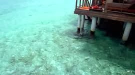 Tα πλωτά σπίτια στις Μαλδίβες (video) - Φωτογραφία 1