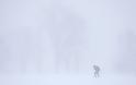 Παρέλυσε από το χιονιά ο Καναδάς - Φωτογραφία 3