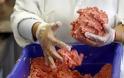 Νέο σκάνδαλο με παράνομη διακίνηση κρέατος αλόγων στη Γαλλία