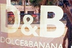 13 μαϊμούδες που βγάζουν μάτι! [photos]