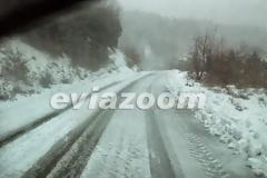 Το έστρωσε στα ορεινά της Εύβοιας - Δείτε φωτογραφίες