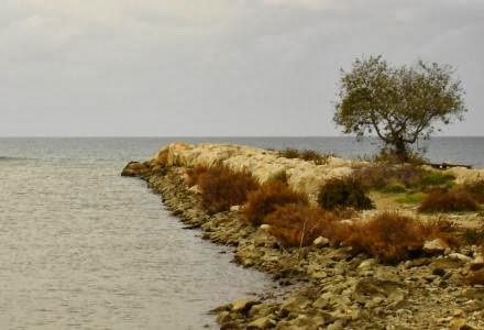 Ηλεία: Ψάρευε παράνομα στη λιμνοθάλασσα Κοτυχίου - Φωτογραφία 1