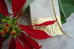 Πάτρα: Νέα συλλογή από Σαπούνια Γούρια 2014 στην Γκαλερί Cube