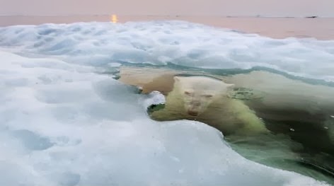 National Geographic: Η καλύτερη φωτογραφία για το 2013 - Φωτογραφία 2