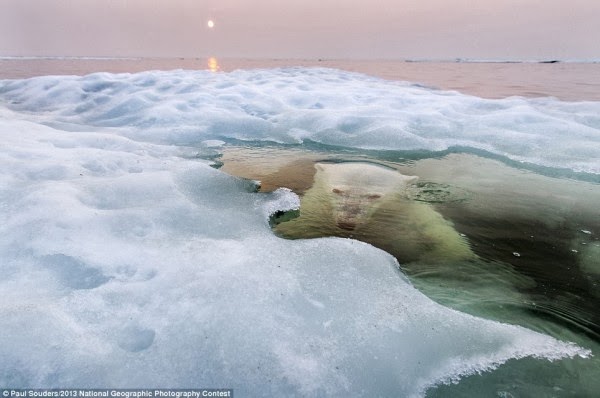 Οι καλύτερες φωτογραφίες του National Geographic για το 2013! - Φωτογραφία 2