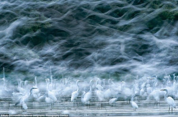 Οι καλύτερες φωτογραφίες του National Geographic για το 2013! - Φωτογραφία 3