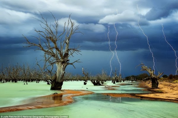 Οι καλύτερες φωτογραφίες του National Geographic για το 2013! - Φωτογραφία 6