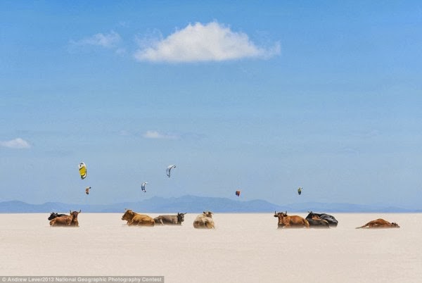 Οι καλύτερες φωτογραφίες του National Geographic για το 2013! - Φωτογραφία 7