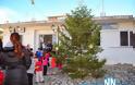 Στόλισαν το Χριστουγεννιάτικο δένδρο τα παιδιά του Νηπιαγωγείου και του δημοτικού σχολείου στη πλατεία του Τρικόρφου - Φωτογραφία 2