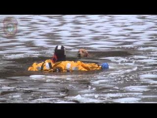Πυροσβέστες ρίχνονται στην παγωμένη λίμνη για να σώσουν σκύλο [video] - Φωτογραφία 1