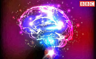 Πέντε μυστήρια του ανθρώπινου εγκεφάλου - Φωτογραφία 1