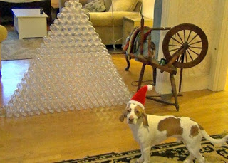 Σκύλος παίρνει δώρο 210 πλαστικά μπουκάλια και τρελαίνεται! [Video] - Φωτογραφία 1