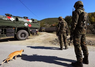 Στρατιωτική γιατρός περνάει στρατοδικείο γιατί έσωσε μία γάτα! - Φωτογραφία 1