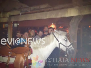 Βόρεια Εύβοια: Άλογο πήγε σε μπαράκι και έκανε ρεβεγιόν! - Φωτογραφία 1