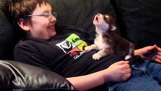 Αγόρι μαθαίνει στο κουτάβι του να ουρλιάζει [video] - Φωτογραφία 1