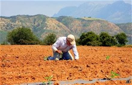 Ηλεία - Αχαΐα - Αιτωλοακαρνανία: 15,5 εκατομμύρια ευρώ για νέους που θέλουν να ασχοληθούν με την γεωργία - Φωτογραφία 1